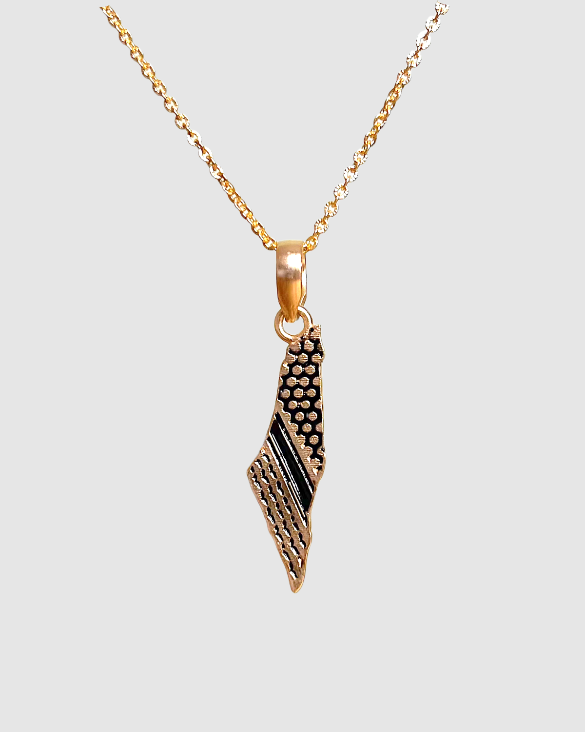 Conjunto de collar y pendientes con mapa de Palestina