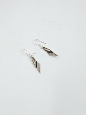 Boucles d'oreilles carte de Palestine